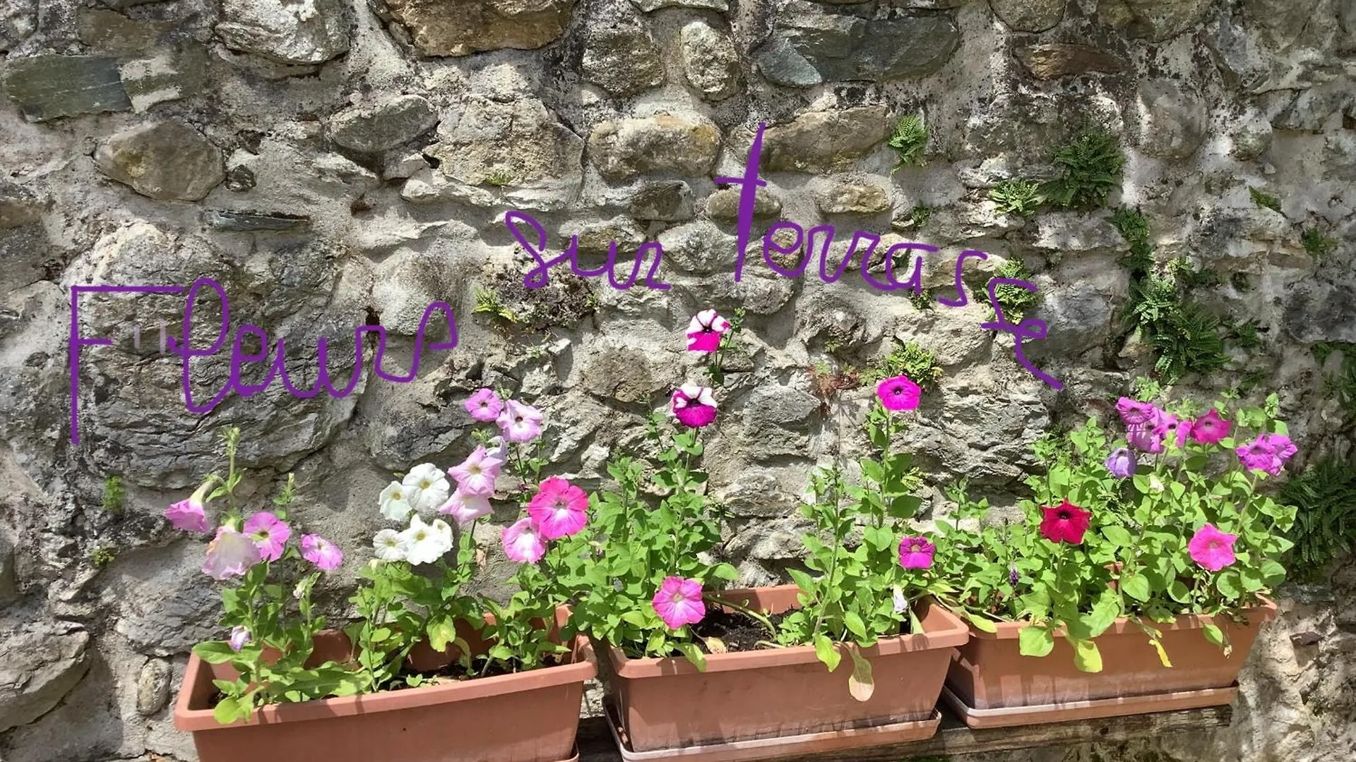 Homestay L Atelier Apartment Seyssinet-Pariset France